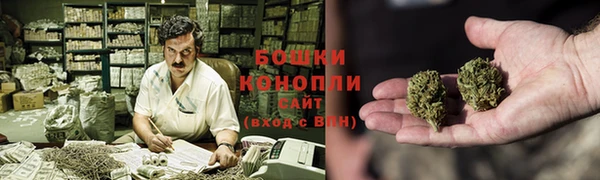 трава Осинники