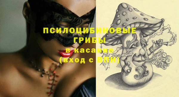 бошки Абаза